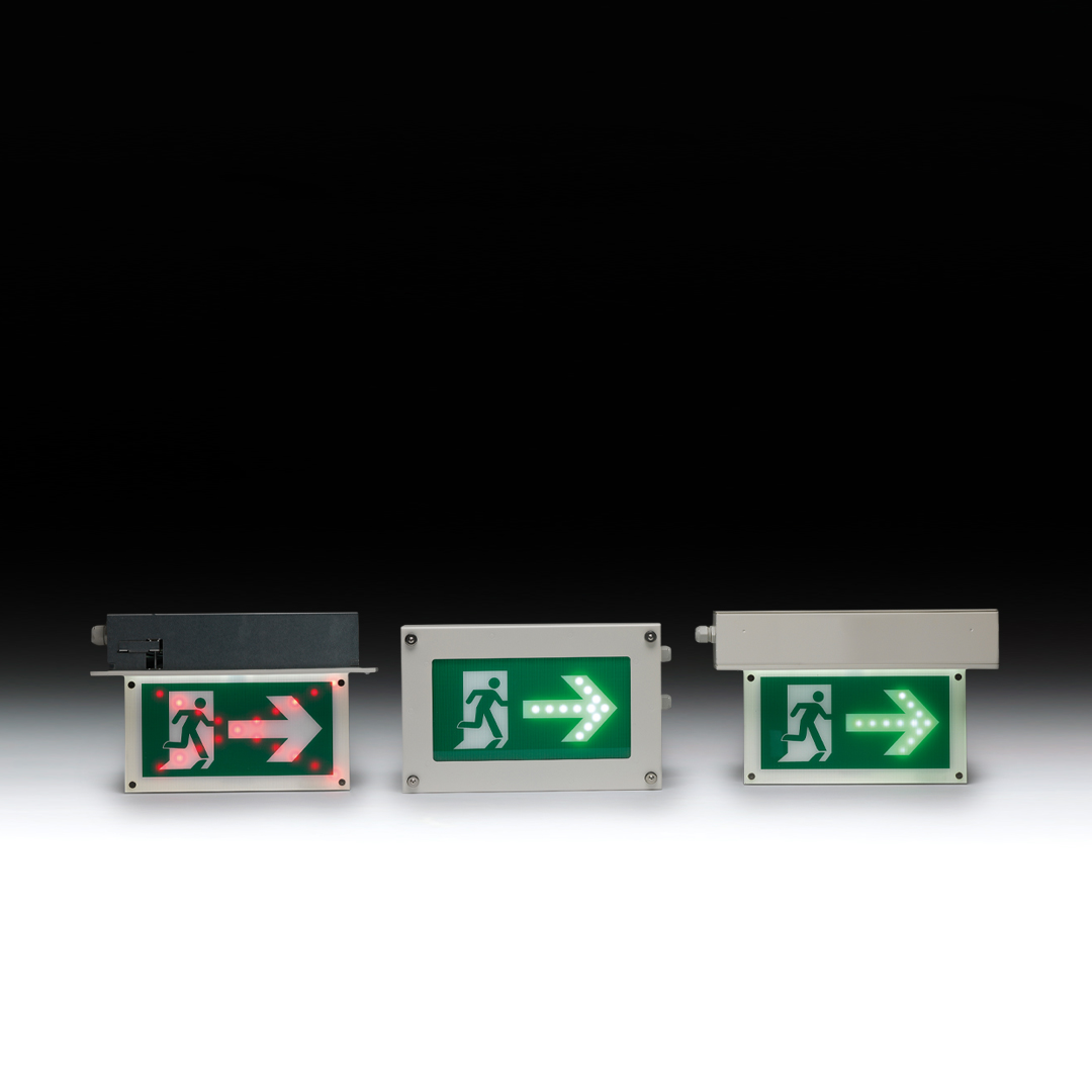 DSSS family 1080 x 1080