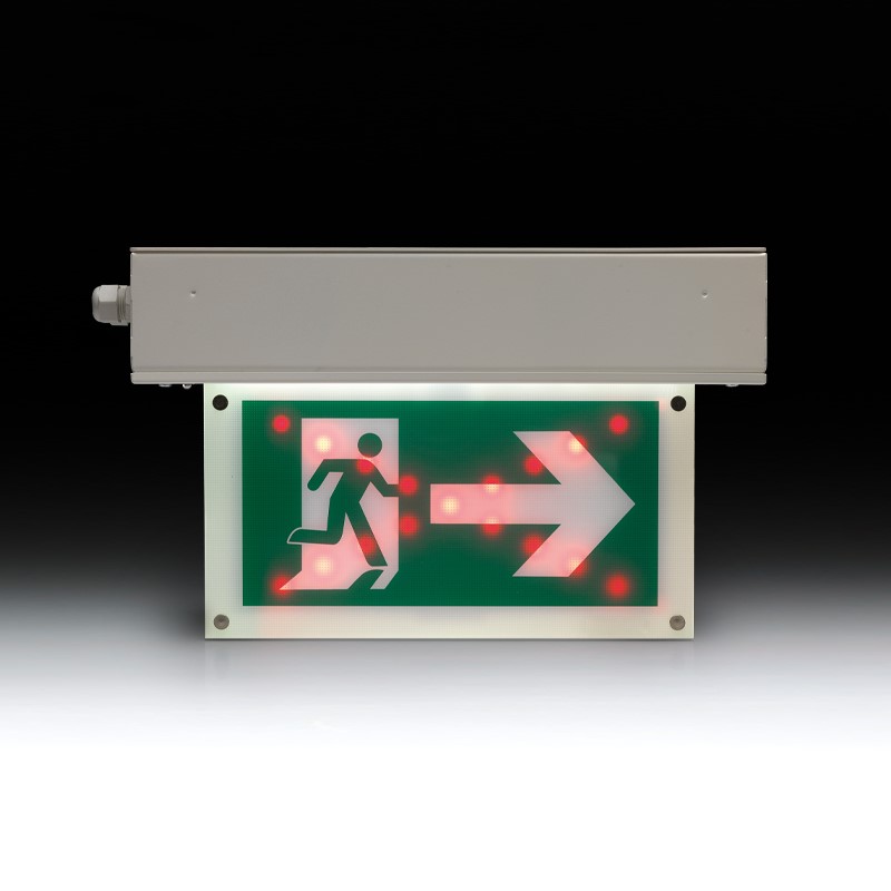 DSSS red arrow straight 800 x 800